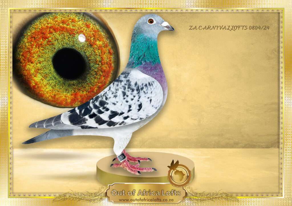 【シルク】to HEROes - TOBE 1st Super Live to HEROes 〜TOBE 1st Super Live〜 Live Blu-ray / Documentary