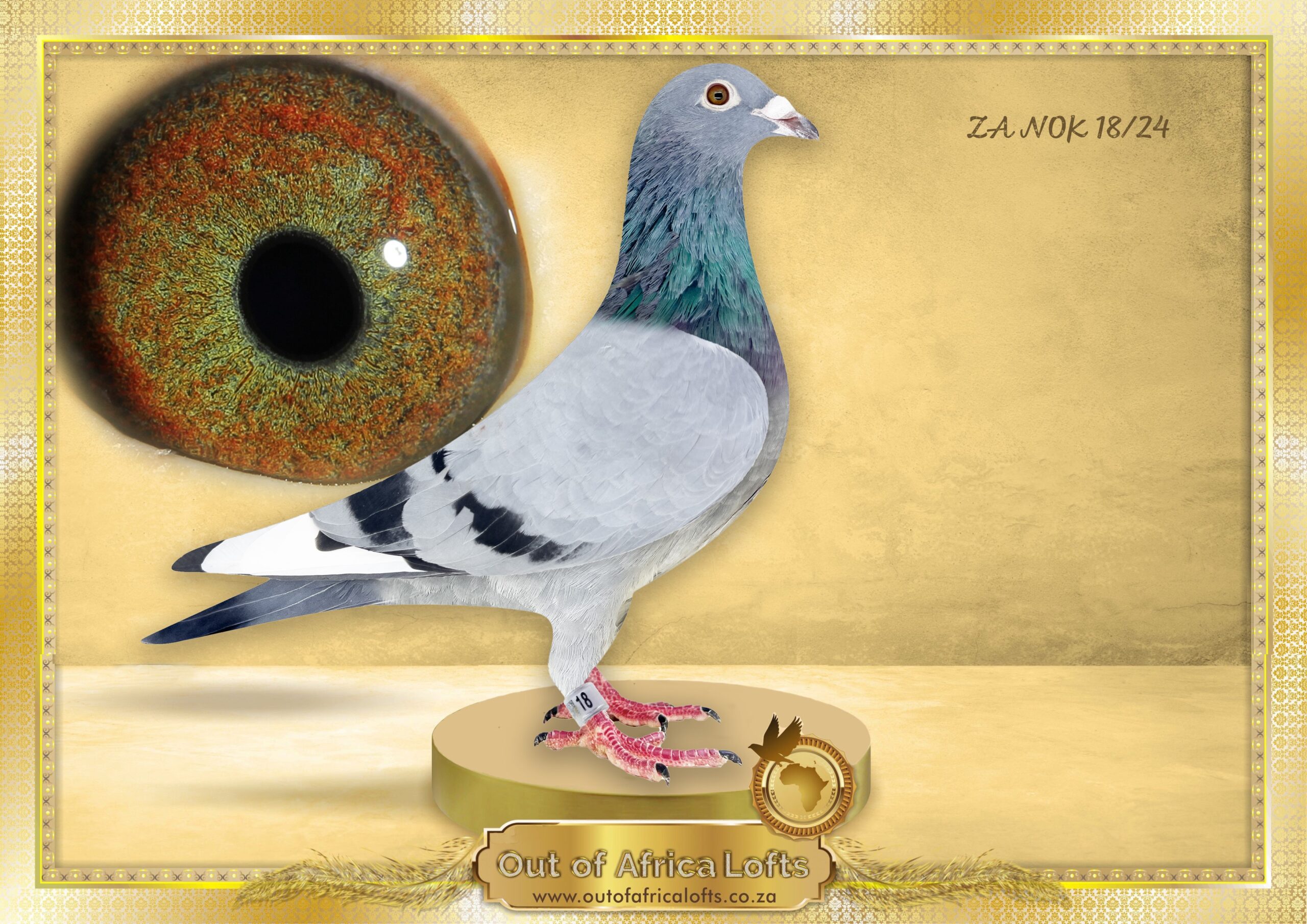 イッセー尾形 The best of best collection BOX 2 Shop Chuck Taylor All Star Construct | CONVERSE SOUTH AFRICA