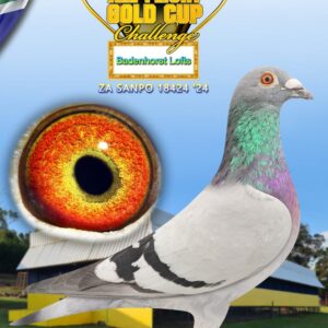 LOT 6: ZA SANPO 24 18424 - ENTERED BY: Badenhorst Lofts - Sire: 116 is sire to 3rd ace carnival 2024.super pigeon bred for stock. dam:72 is full sister SANPO GOLD MEDAL LONG DISTANCE 2018 - ZA10830/16, SONIC 2nd place Dinokeng Barzalona race 2020, ROYAL STAR 4th place Dinokeng Barzalona race 2019, NHL1039/17 mutiple KZN combine winner and super breeder, half sister to ZULU 2533/20 whom is sire to ABL643/22 - 4 x PTA union winner and 9 x Crusader club winner and 1st SANPO OVERALL DISTANCES (2001+) pigeons 2024. 2nd SANPO MIDDLE DISTANCE (2001+) pigeons 2024. 3rd SANPO SHORT DISTANCE (2001+) pigeons - SEE PEDIGREE !!!