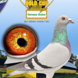 LOT 7: ZA ODRA 24 18664 - ENTERED BY: Herman Bohm - CERTIFICATE OF ACHIEVEMENT CARNIVAL LOFTS WINTER SERIES 2025 ACHIEVING 14TH PLACE OUT OF 763 PIGEONS IN RACE 3 FROM GLEN WITH AN AVERAGE SPEED OF 1371,6944 M/MIN AND 15TH PLACE OUT OF 763 PIGEONS IN RACE 4 FROM BLOEMFONTEIN WITH AN AVERAGE SPEED OF 1142,5578 M/MIN - SEE PEDIGREE !!!