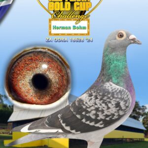 LOT 9: ZA ODRA 24 18628 - ENTERED BY: Herman Bohm - BRED FROM THE VERY BEST KITTEL GENETICS - SEE PEDIGREE !!!