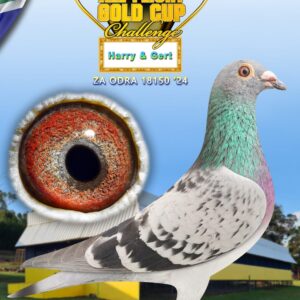 LOT 10: ZA ODRA 24 18150 - ENTERED BY: Harry & Gert - SEE PEDIGREE - BRED FROM SUPER GENETICS !!!