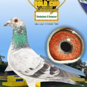 LOT 16: ZA NB 25 11000 - ENTERED BY: Bredenhan & Rossouw