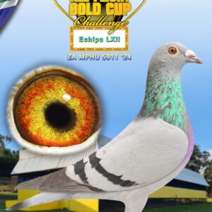 LOT 19: ZA MHPU 24 5911 - ENTERED BY: Echipa LXII