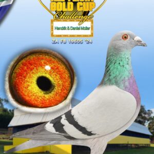 LOT 17: ZA FB 24 19605 - ENTERED BY: Hendrik & Daniel Moller - THE SIRE: 5th HOTSPOT AVERAGES SAMDPR 2018!! 32e - Hotspot 4 13e - Hotspot 5 93e - FINAL SAMDPR 2018 521 km!! - THE DAM: Full sister to "VICKY" - 2e ACE Pigeon!!! Sold for R 105 000.00!! Raced at Allflight Carnival One Loft 2022: 94e - 425km 41e - 364km 19e - 505km 7e - 460km 2e - 630km FINAL RACE!! First two pigeons flew an 8min break, only 41 day birds!! Temperatures up - SEE PEDIGREE !!!