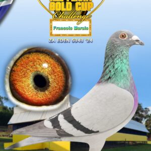 LOT 15: ZA EDEN 24 5343 - ENTERED BY: Francois Marais