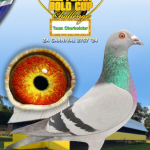 LOT 1: ZA 24 CARNIVAL 2757 - ENTERED BY: TEAM OBERHOLSTER - THE SIRE: Org.Oberholster Loft Bred for Stock Best Kittel x Kleine Jade Father of Karoo Ace Super Racer at Karoo Million OLR 1st ACE Pigeon ( +1900 Entries) 7th Final Race 855 km 369 p,etc. - THE DAM: Ahmed Ali AL- Ahmed Super Racer at SAMDPR 2020 10th Grand Averges with 6 x Top 100 Positions o.a. 68th Final Race 1548 p. 600 km 95th H.Spot4 1947 p. 288 km etc. - SEE PEDIGREE !!!