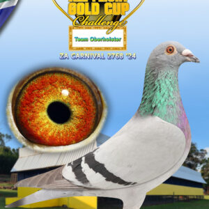 LOT 3: ZA 24 CARNIVAL 2768 - ENTERED BY: TEAM OBERHOLSTER - THE SIRE: Org.Oberholster Loft Half Brother of Abeche 48 Race Results VFWCPR 2021 14th Super Ace 14th Grd.Averages - THE DAM: Beneke Lofts Bred for Stock out of Super Million Dollar Pigeons - SEE PEDIGREE !!!