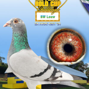 LOT 12: ZA 24 JWDK 4251 - ENTERED BY: SW LOUW