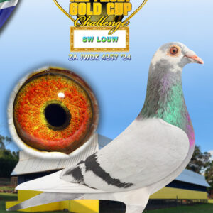 LOT 15: ZA 24 JWDK 4257 - ENTERED BY: SW LOUW