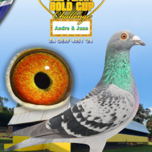 LOT 4: ZA 24 OERF 4051 - ENTERED BY: ANDRE & JAUN - The 10th place winner of race 1 at Carnival winter series from 763 p at 1221 mpm. - THE SIRE: The nestmate of "Quantico" final race winner of the 2018 "Vic Falls Yearling Race" and 3rd Ace.He bred multiple winners and Org winner for us with four hens.- THE DAM: Bred from proven Gaby`s with a touch of Lock.These lines together produce excelent racers.They produced TRPF/GPU car winners,Union winners.SANPO medal winners and organization - SEE PEDIGREE !!!