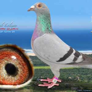 LOT 44: ZA 12774 OP 2024 (H) - ENTERED BY: HENRY QUIRK