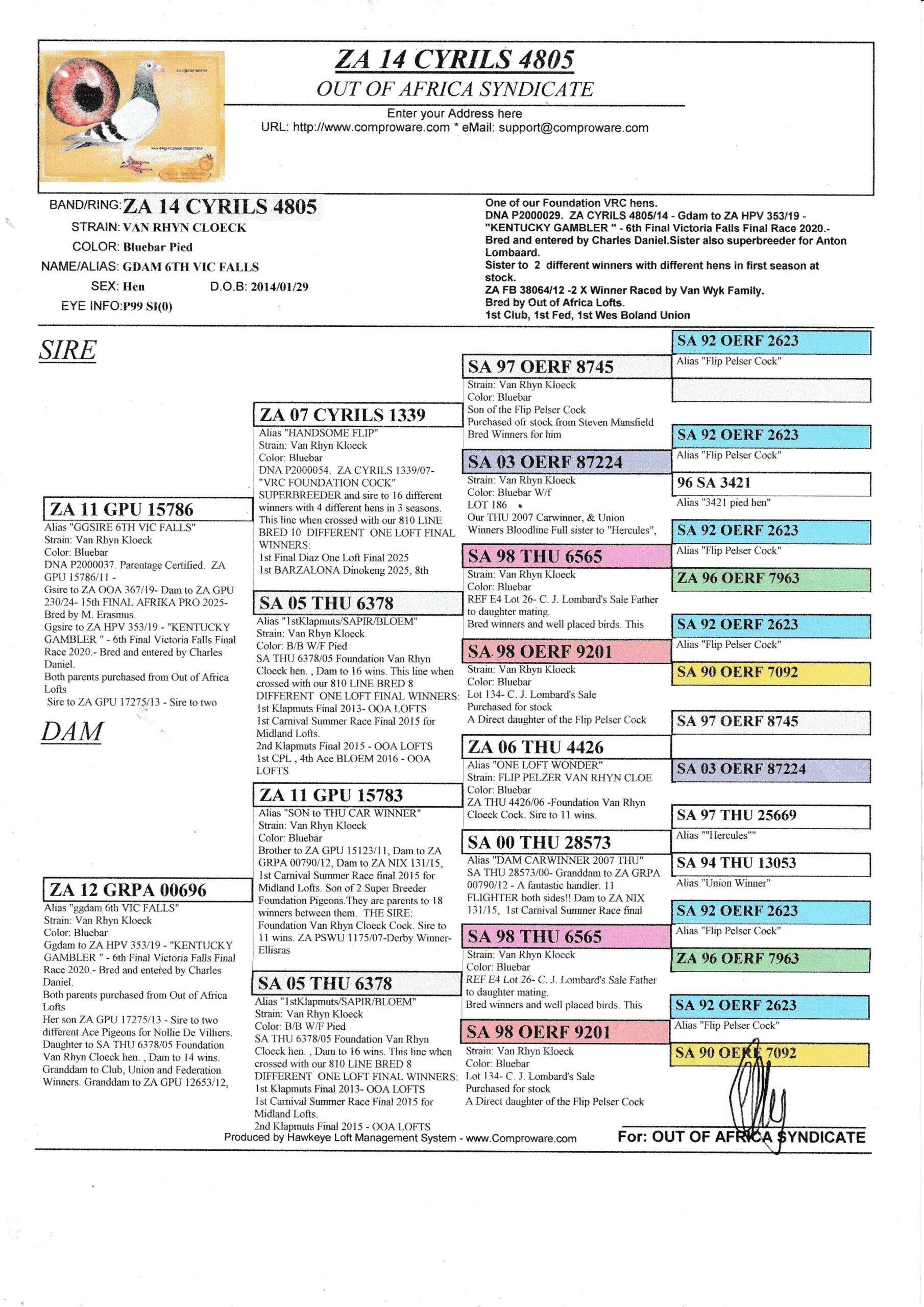 LOT 6: ZA CYRILS 4805/14 (H) – One of our Foundation VRC hens. We believe she shall still lay a few good eggs. DNA P2000029. ZA CYRILS 4805/14 – Gdam to ZA HPV 353/19 – “KENTUCKY GAMBLER ” – 6th Final Victoria Falls Final Race 2020.- Bred and entered by Charles Daniel. Sister also superbreeder for Anton Lombaard. Sister to 2 different winners with different hens in first season at stock. ZA FB 38064/12 -2 X Winner Raced by Van Wyk Family. Bred by Out of Africa Lofts. 1st Club, 1st Fed, 1st Wes Boland Union ZA GPU 16786/12 Club Winner. Raced by C/ Fernandez 1st, 2nd, 8th, 9th and 10th Club., 3rd Club, 4th Fed 3rd Club, 5th Fed, STERKSTROOM ZA GPU 17685/13 5th Vredendal Hot Spot 3 Klapmuts One Loft Full brother to, ZA OERF 09471/11 Dam to 1st Klapmuts Lofts Western Cape Final Race 2013 Bred by Out of Africa Lofts,Raced by GRPA as SCMDPR Entrant. 17th SCMDPR HotSpot, Winner of $1000 106th SCMDPR Final 2012 – SEE PEDIGREE !!!! - Image 2