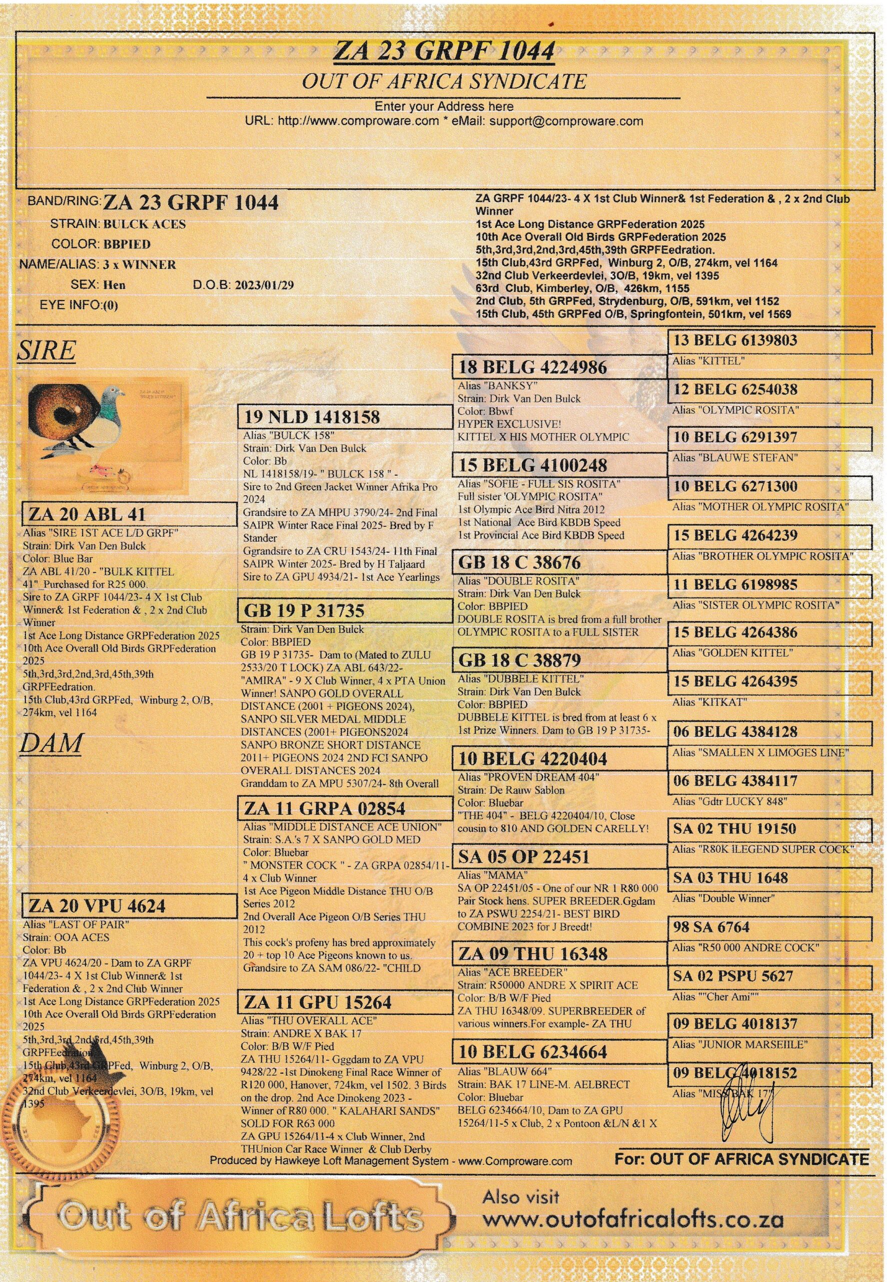 LOT 4: ZA TURF PETS 0892/24 (H) – “ CARELLY ACES “ Her sire is ZA CYRILS3805/17- 5/5 Children sold already superbreeder for different fanciers. Sire to ZA VPU 8111/23- New Suoerbreeder for W Lee PTA. Sire to ZA VIL 1729/24- Current 6th Ace PTA Young Bird Series 2025 -W Lee. Sire to NEW SUPERBREEDER FOR P JACOBS! – ZA PRPC 2172/19 Sire to ZA OOA 238/19 – Sire to ZA NJ 4490/22- 2 X 1st Hot Spot Winner Genetic Lofts for Raymond Le Roux Sire to ZA OOA 94/19- New superbreeder for F Van Heerden. Sire to Union Winner for F Van Heerden, now for G Steenkamp. Sire to ZA VPU 2648/19 – Superbreeder for F Van Heerden. Sire to ZA VPU 2649/19 – Superbreeder for I Marais Sire in 1st season to ZA VPU 1423/18 – SUPER RACER 23rd Ace Pigeon Middle Distance VPU Y/B Series 2019. Linebred to ZA GPU 15264/11-4 x Club Winner, 2nd THUnion Car Race Winner & Club Derby Winner.10/10 Races. 1st Overall Ace Pigeon THU Young Bird Series 2012. 1st Ace Pigeon Middle Distance THU Y/ BIRD Series 2012. ZA THU 15264/11- Gggdam to ZA VPU 9428/22 -1st Dinokeng Final Race Winner of R120 000, Hanover, 724km, vel 1502. 3 Birds on the drop. 2nd Ace Dinokeng 2023 – Winner of R80 000. ” KALAHARI SANDS” SOLD FOR R63 000 – SEE PEDIGREE !!! - Image 2