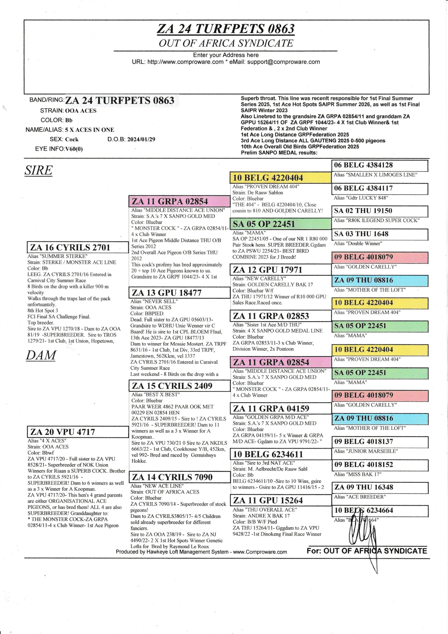 LOT 5: ZA TURF PET 0863/24 (C) – “ 5 X ACES IN ONE “ – This line was recently responsible FOR MANY SUPER ONE LOFT PERFORMERS IN AFRIKA PRO,SAPIR SUMMER 2026, SAPIR FINALWINNER 2023, Also present in DIAZ FINAL RACE WINNER 2025, AND CAPE TOWN FINAL WINNER SUMMER 2026 Related to ZA WPU 1747/25- 2 X Equal Hot Spot Winner – SAIPR SUMMER RACE ENTRANT 2026- 1st Ace Hot Spots SAIPR Summer Series 2026- R30 000 winner, 3rd Grand Averages Ace before Final.- DOUVLE GOLDEN CARELLY Equal Winner On the drop-10th Hot Spot 1, Bothaville, 178km 1097 vel 64th Hot Spot 2 – Wesselsbron, 240km, 981 vel – R3000 winner Equal winon the drop – 13th Hot Spot 3, Bultfontein, 288km, vel 1105 4th Hot Spot 4, Glen, 365km, vel 1091 – R10 000 winner Winner in total of R43 000 till Hot Spot 4 . – SEE PEDIGREE !!! - Image 3