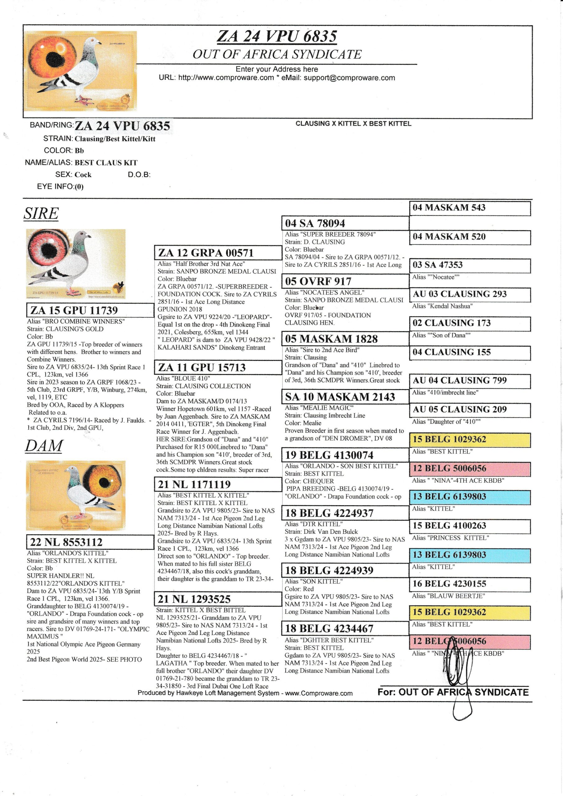 LOT 9: ZA VPU 6835/24 (C) – “ BEST CLAUS KIT “ – ZA VPU 6835/24- 13th Y/B Sprint Race 1 CPL, 123km, vel 1366. Granddaughter to BELG 4130074/19 THE SIRE: ZA GPU 11739/15 -Top breeder of winners with different hens. Brother to winners and Combine Winners. Sire to ZA VPU 6835/24- 13th Sprint Race 1 CPL, 123km, vel 1366 Sire in 2023 season to ZA GRPF 1068/23 – 5th Club, 23rd GRPF, Y/B, Winburg, 274km, vel, 1119, ETC Bred by OOA, Raced by A Kloppers THE DAM: NL 8553112/22″ORLANDO’S KITTEL” Dam to ZA VPU 9805/23- Sire to NAS NAM 7313/24 – 1st Ace Pigeon 2nd Leg Long Distance Namibian National Lofts 2025- Bred by R Hays. Dam to ZA VPU 6835/24- 13th Y/B Sprint Race 1 CPL, 123km, vel 1366. Granddaughter to BELG 4130074/19 – SEE PEDIGREE !!! - Image 2