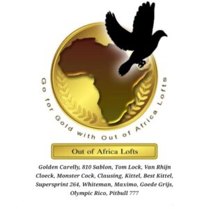 Out of Africa Lofts - ENDS: 5 JUN FROM 20:00