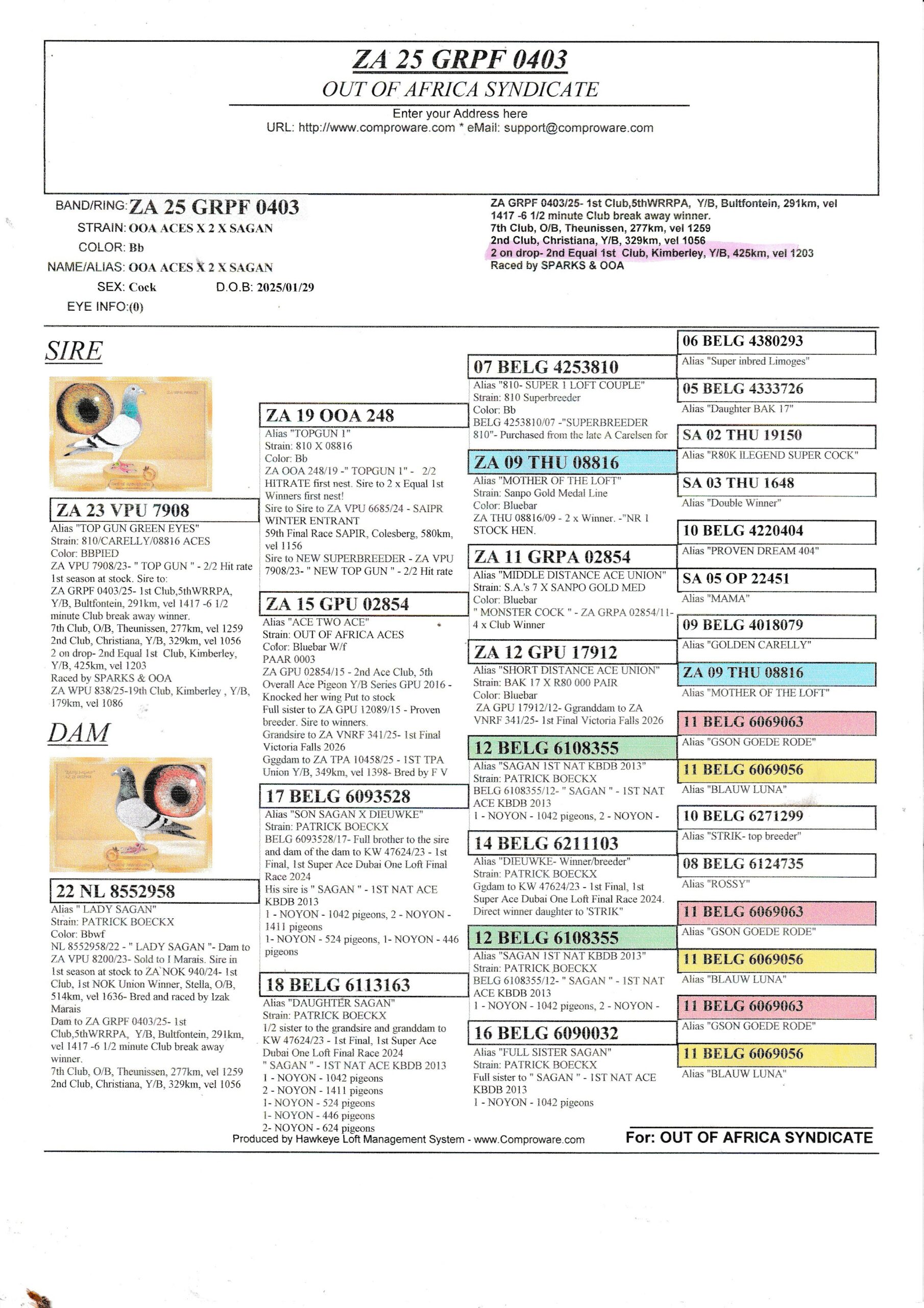 SUMMARY OF LAST WEEK’S KNOWN RESULTS FOR OOA LOFTS & FRIENDS. - Image 5