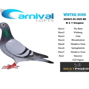 LOT 12: ZA 25 206923 – ENTERED BY: M & Y KLINGBIEL – 92ND FINAL RACE – 41ST ACE PIGEON – A blue-bar pigeon with notable results at Carnival Lofts Winter 2026, including 9TH WINBURG, 45TH BLOEMFONTEIN and 60TH MEADOWS FARM.
