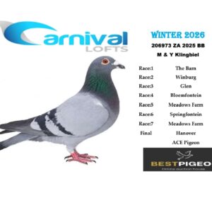 LOT 25: ZA 25 206973 – ENTERED BY: M & Y KLINGBIEL – 52ND FINAL RACE – 22ND ACE PIGEON – A blue-bar pigeon from Carnival Lofts Winter 2026, with additional highlights including 63RD MEADOWS FARM and 84TH THE BARN.